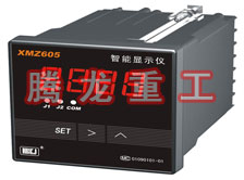 溫度表、數(shù)字顯示儀、濕度表