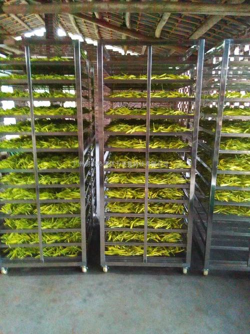黃花菜烘干機、黃花菜烘干設(shè)備、黃花菜干燥機、黃花菜干燥設(shè)備、